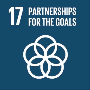 17. Partenariats pour la réalisation des objectifs