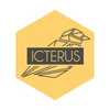 Icterus